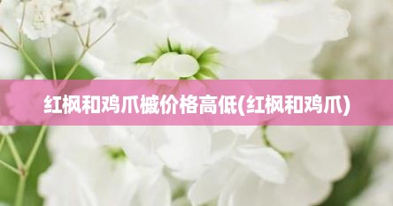 红枫和鸡爪槭价格高低(红枫和鸡爪)