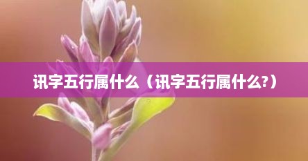 讯字五行属什么（讯字五行属什么?）