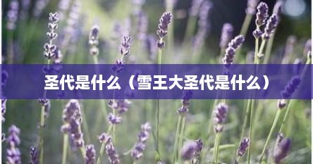 圣代是什么（雪王大圣代是什么）