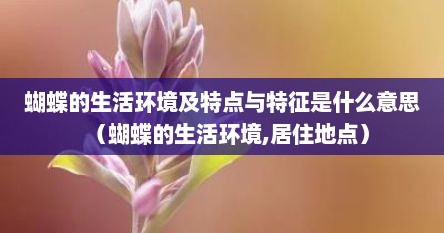 蝴蝶的生活环境及特点与特征是什么意思（蝴蝶的生活环境,居住地点）
