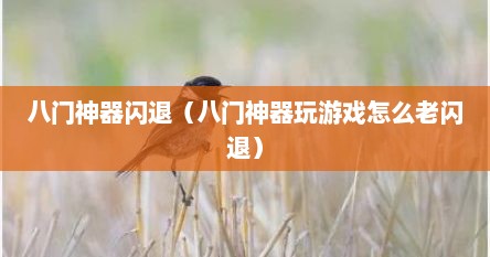 八门神器闪退（八门神器玩游戏怎么老闪退）