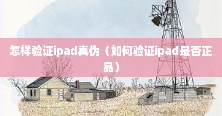 怎样验证ipad真伪（如何验证ipad是否正品）