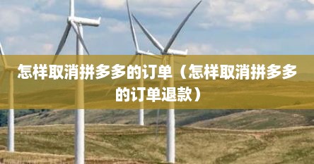 怎样取消拼多多的订单（怎样取消拼多多的订单退款）