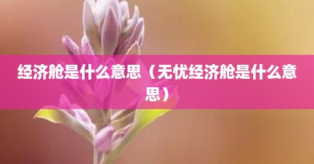 经济舱是什么意思（无忧经济舱是什么意思）