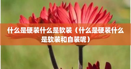 什么是硬装什么是软装（什么是硬装什么是软装和自装呢）