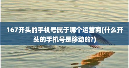 167开头的手机号属于哪个运营商(什么开头的手机号是移动的?)