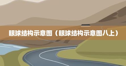 眼球结构示意图（眼球结构示意图八上）