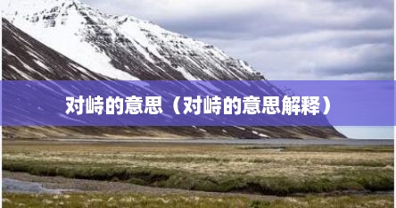 对峙的意思（对峙的意思解释）