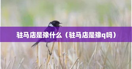 驻马店是豫什么（驻马店是豫q吗）