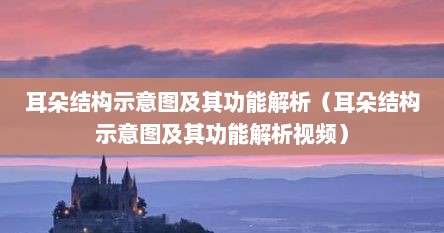 耳朵结构示意图及其功能解析（耳朵结构示意图及其功能解析视频）