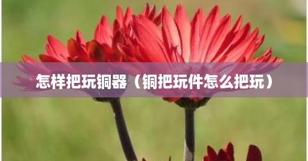 铜 把玩（铜器怎么把玩包浆）