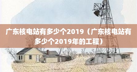 广东核电站有多少个2019（广东核电站有多少个2019年的工程）