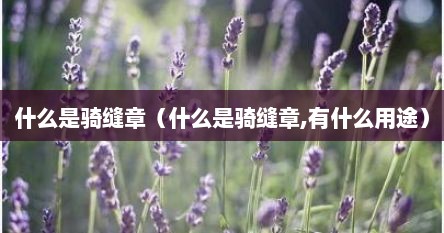 什么是骑缝章（什么是骑缝章,有什么用途）
