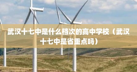 武汉十七中是什么档次的高中学校（武汉十七中是省重点吗）