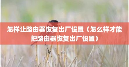 怎样让路由器恢复出厂设置（怎么样才能把路由器恢复出厂设置）