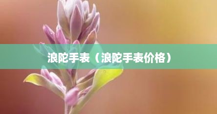 浪陀手表（浪陀手表价格）