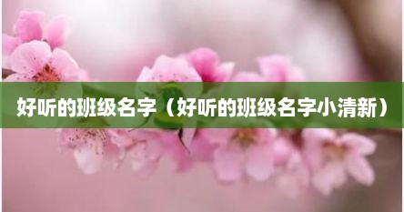 好听的班级名字（好听的班级名字小清新）
