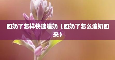 回奶了怎样快速追奶（回奶了怎么追奶回来）