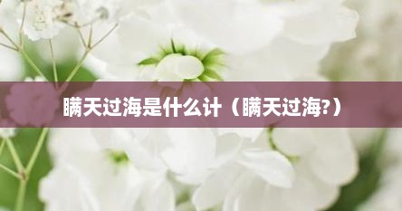 瞒天过海是什么计（瞒天过海?）