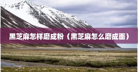 黑芝麻怎样磨成粉（黑芝麻怎么磨成面）