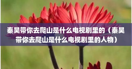 秦昊带你去爬山是什么电视剧里的（秦昊带你去爬山是什么电视剧里的人物）