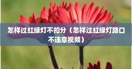 怎样过红绿灯不扣分（怎样过红绿灯路口不违章视频）