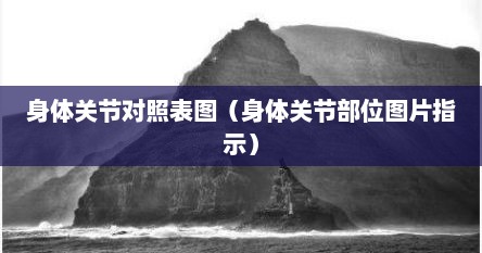 身体关节对照表图（身体关节部位图片指示）