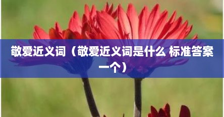 敬爱近义词（敬爱近义词是什么 标准答案一个）