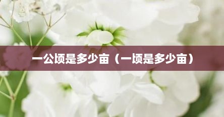 一公顷是多少亩（一顷是多少亩）
