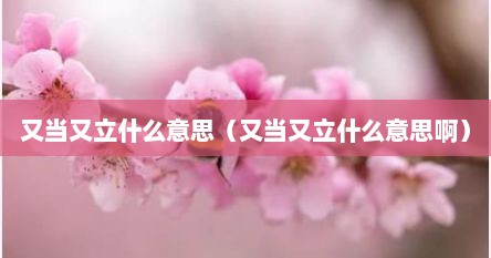 又当又立什么意思（又当又立什么意思啊）