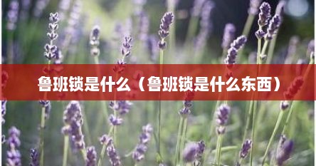 鲁班锁是什么（鲁班锁是什么东西）