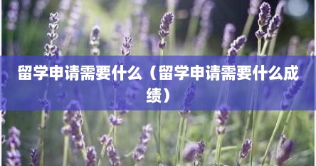 留学申请需要什么（留学申请需要什么成绩）