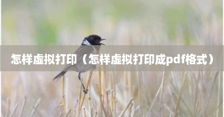 怎样虚拟打印（怎样虚拟打印成pdf格式）