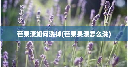 芒果渍如何洗掉(芒果果渍怎么洗)
