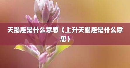 天蝎座是什么意思（上升天蝎座是什么意思）