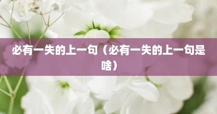必有一失的上一句（必有一失的上一句是啥）