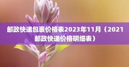 邮政快递包裹价格表2023年11月（2021邮政快递价格明细表）