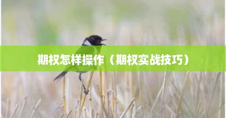 期权怎样操作（期权实战技巧）