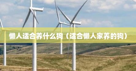 懒人适合养什么狗（适合懒人家养的狗）