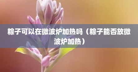 粽子可以在微波炉加热吗（粽子能否放微波炉加热）