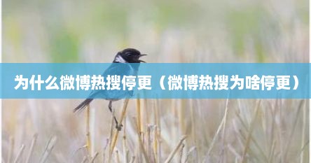为什么微博热搜停更（微博热搜为啥停更）