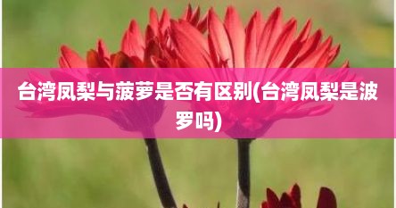 台湾凤梨与菠萝是否有区别(台湾凤梨是波罗吗)