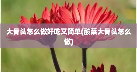 大骨头怎么做好吃又简单(酸菜大骨头怎么做)