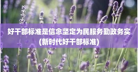 好干部标准是信念坚定为民服务勤政务实(新时代好干部标准)