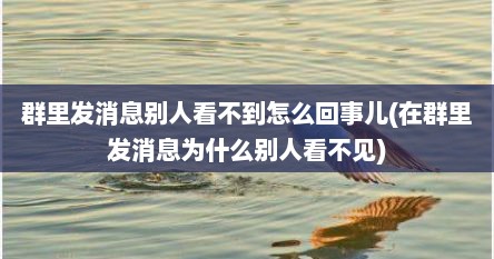群里发消息别人看不到怎么回事儿(在群里发消息为什么别人看不见)