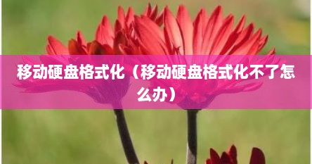 移动硬盘格式化（移动硬盘格式化不了怎么办）
