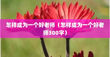 怎样成为一个好老师（怎样成为一个好老师300字）