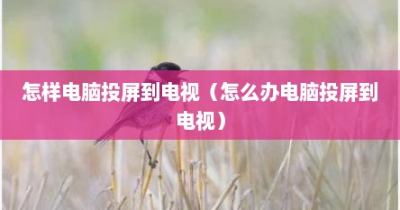 怎样电脑投屏到电视（怎么办电脑投屏到电视）