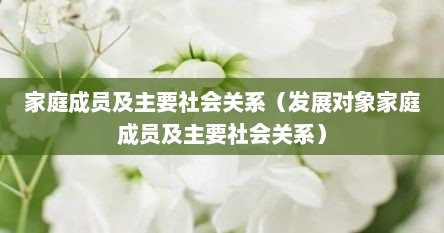 家庭成员及主要社会关系（发展对象家庭成员及主要社会关系）