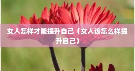 女人怎样才能提升自己（女人该怎么样提升自己）
